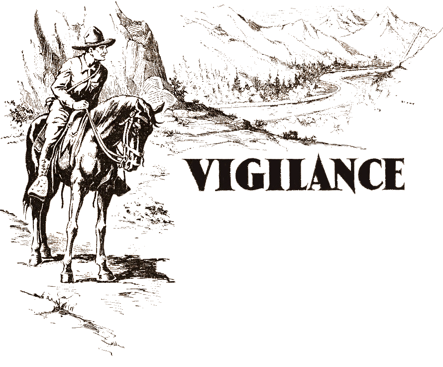 vigilance